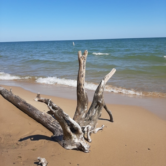 Meet your Posher, Bonny - Picture 1 of 2